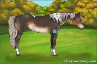 Horse Color:Silver Smoky Black Tobiano 