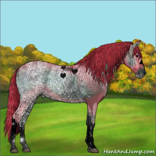 Horse Color:Unknown 