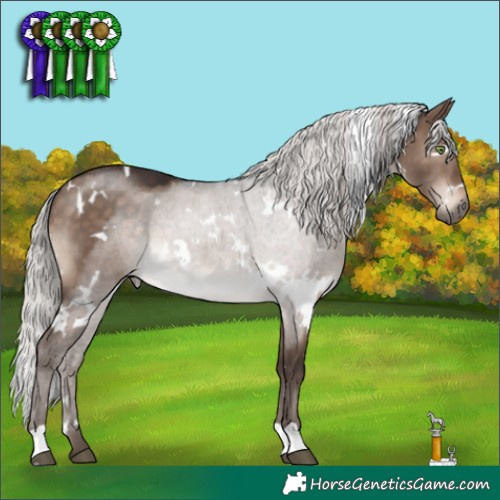 Horse Color:White Spotted Silver Brown Dun Mushroom 