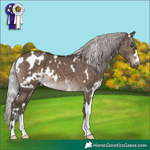 Horse Color:White Spotted Silver Brown Dun Mushroom 