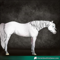 Horse Color:Gray Void Watercolor Perlino