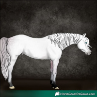 Horse Color:Gray Void Watercolor Perlino