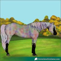 Horse Color:Void Platinum Nacre White Spotted Silver Smoky Grullo Rabicano