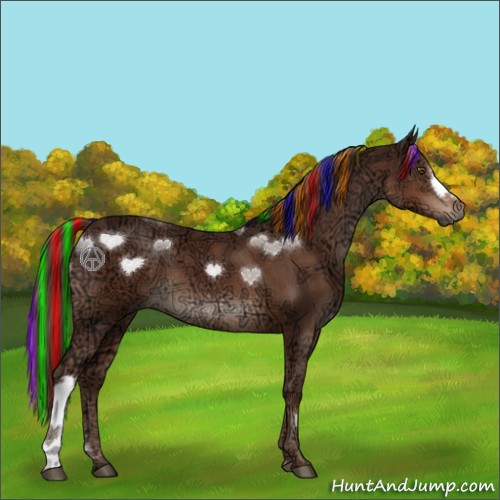 Horse Color:Painted Liver Chestnut Ice 