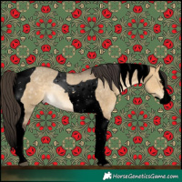 Horse Color:Void Buckskin Dun Splash Tobiano 