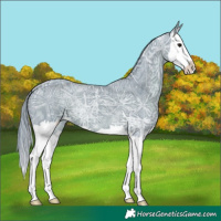 Horse Color:Watercolor Black Ice Splash