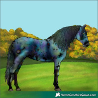 Horse Color:ERROR: UNKNOWN ANOMALY