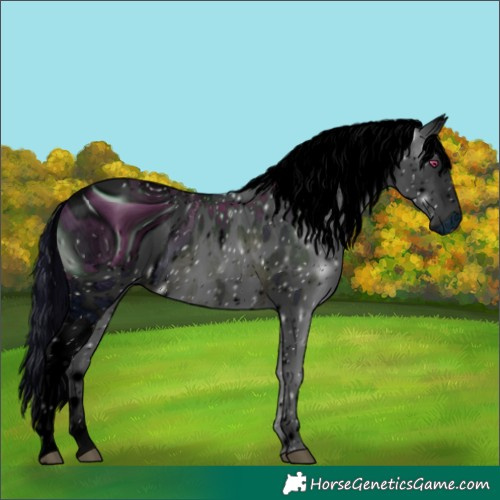 Horse Color:ERROR: UNKNOWN ANOMALY