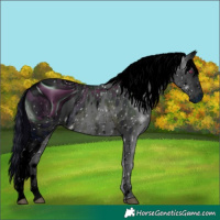 Horse Color:ERROR: UNKNOWN ANOMALY