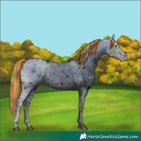 Horse Color:ERROR: UNKNOWN ANOMALY