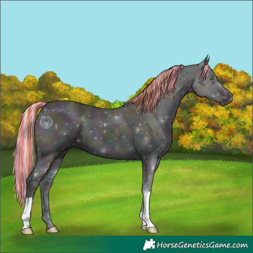 Horse Color:Painted Midnight Perlino Onyx