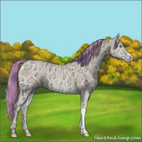 Horse Color:Painted Buckskin Ice Pearl Onyx 