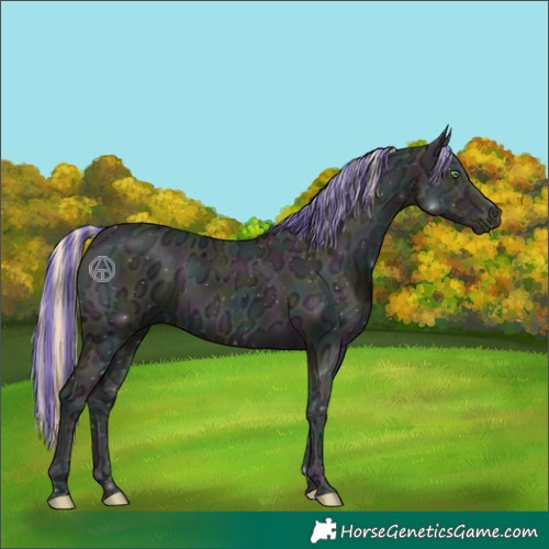 Horse Color:Painted Midnight Perlino Ice Onyx