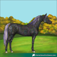 Horse Color:Painted Midnight Perlino Ice Onyx 