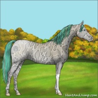 Horse Color:Painted Buckskin Ice Pearl Onyx 