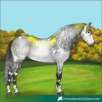 Horse Color:Gray Platinum White Spotted Brown Dun 