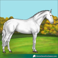 Horse Color:Gray Platinum White Spotted Brown Dun Tobiano 