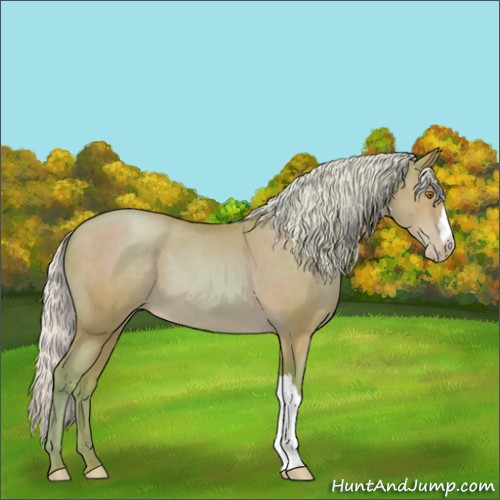 Horse Color:Watercolor Silver Brown Pearl 