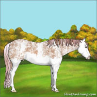 Horse Color:Painted White Spotted Chestnut Ice Splash 