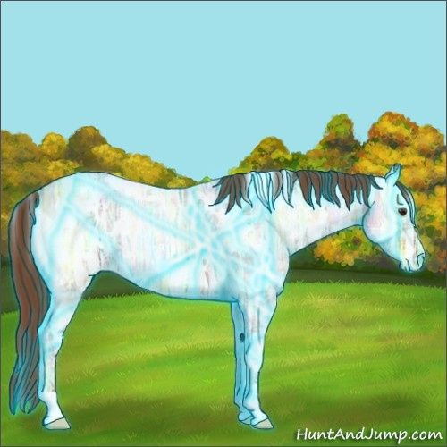 Horse Color:Thunderstruck White Spotted Red Onyx Ice Roan Appaloosa Rabicano 