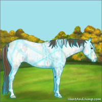 Horse Color:Thunderstruck White Spotted Red Onyx Ice Roan Appaloosa Rabicano 