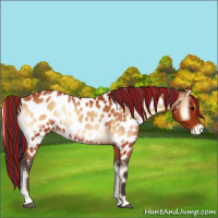 Horse Color:Painted Bay Onyx Near Leopard 