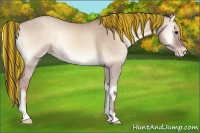 Horse Color:Painted Classic Champagne Onyx 