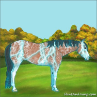 Horse Color:Thunderstruck White Spotted Brown Ice Rabicano 