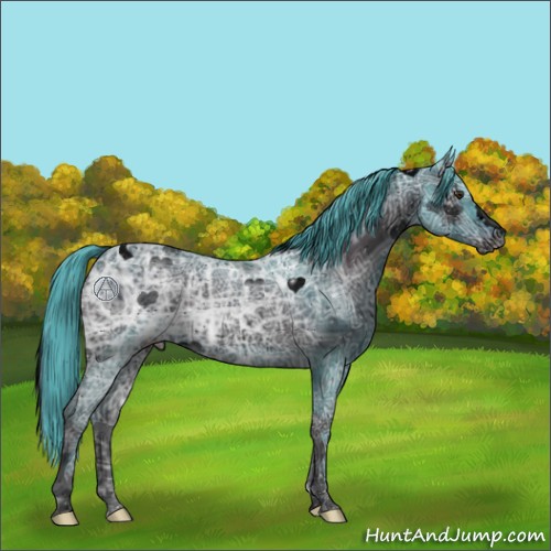Horse Color:ERROR: UNKNOWN ANOMALY