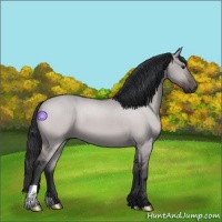 Horse Color:Platinum Brown Dun 