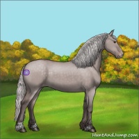 Horse Color:Platinum Silver Brown Dun Sabino Varnish 