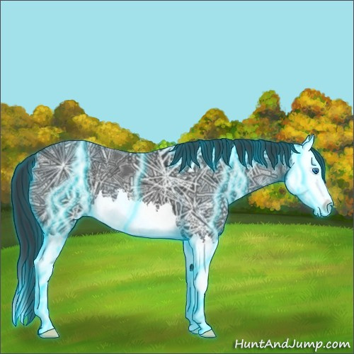Horse Color:Thunderstruck Blue Ice Roan Splash