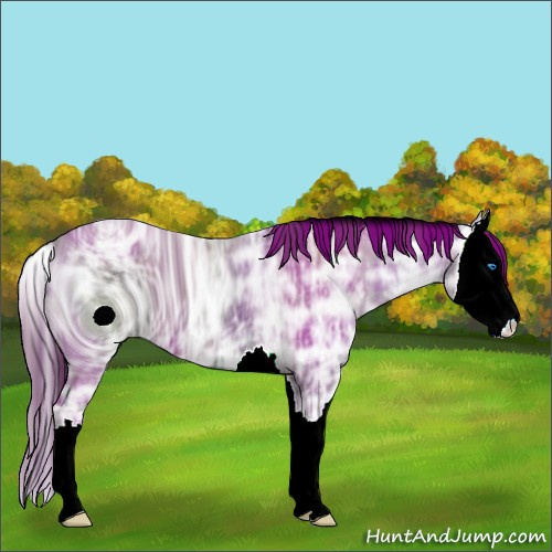 Horse Color:ERROR: UNKNOWN ANOMALY