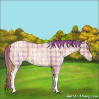 Horse Color:Plaid  Bay Ice Pearl 