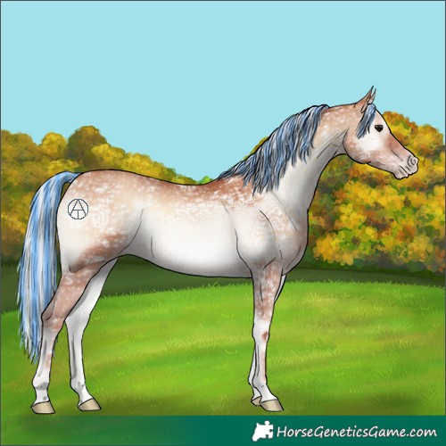 Horse Color:Painted Silver Classic Champagne Ice Onyx 