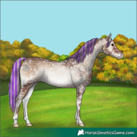 Horse Color:Painted Silver Blue Onyx Ice 