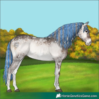 Horse Color:Painted Silver Blue Onyx Ice 