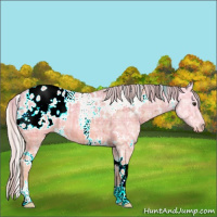Horse Color:Plaid  White Spotted Silver Bay Ice Appaloosa 