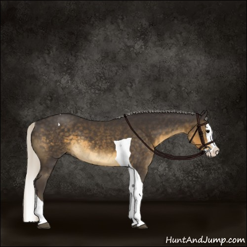 Horse Color:Silver Smoky Black Splash Tobiano 
