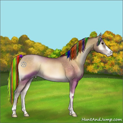 Horse Color:Unknown 