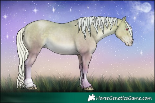Horse Color:Watercolor Silver Buckskin Chinchilla Pearl Sabino 