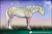 Horse Color:Watercolor Silver Buckskin Chinchilla Pearl Sabino
