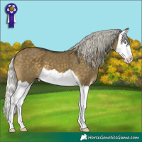 Horse Color:Silver Buckskin Dun Mushroom Splash 