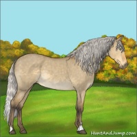 Horse Color:Silver Buckskin Dun Mushroom Sabino Brindle 
