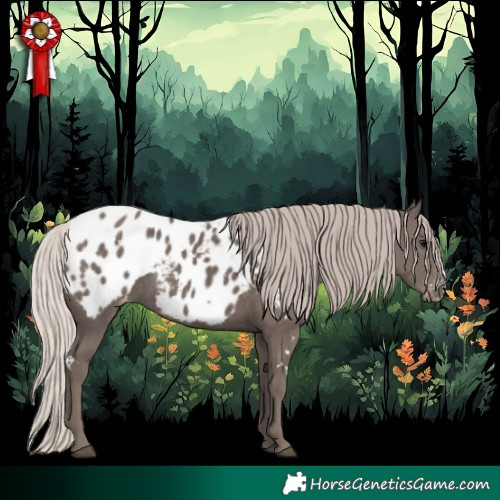 Horse Color:White Spotted Silver Black Blanket 