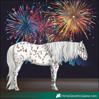 Horse Color:White Spotted Silver Brown Appaloosa 