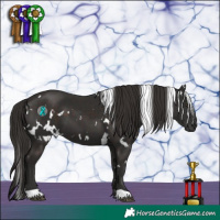 Horse Color:White Spotted Liver Chestnut