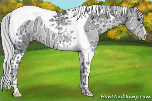 Horse Color:Silver Blue Onyx Chinchilla Ice Tobiano