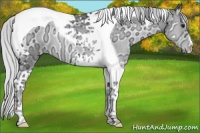 Horse Color:Silver Blue Onyx Chinchilla Ice Tobiano 