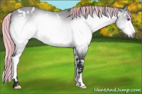 Horse Color:Painted White Spotted Silver Brown Chinchilla Splash 